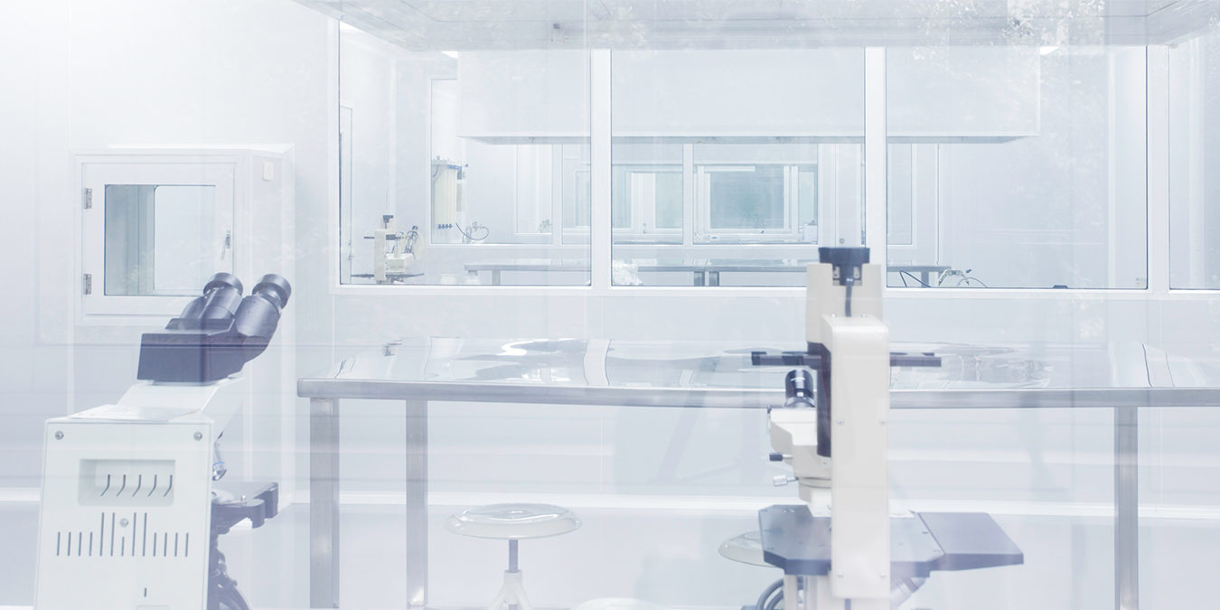 Confidential Electric Automobile & Battery Manufacturer